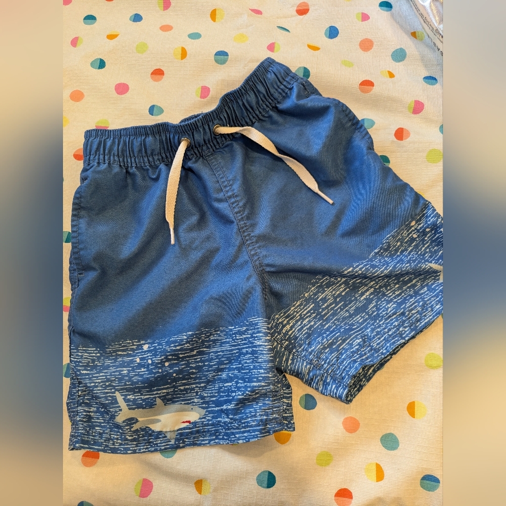 Hanna Andersson Swim Trunks